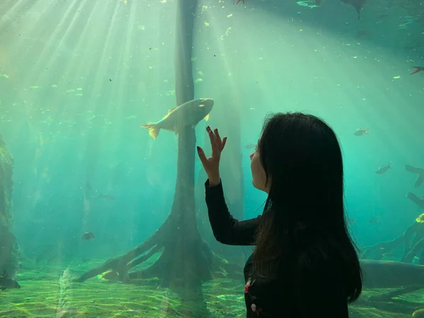 young woman with a fish in the aquarium