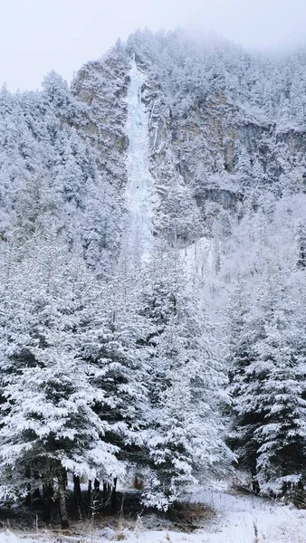 beautiful winter landscape with snow covered trees