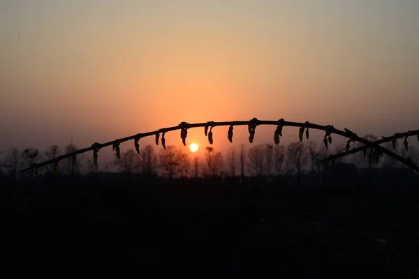 silhouette of a barbed wire on a fence