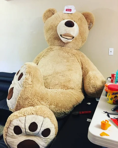 teddy bear with a toy car