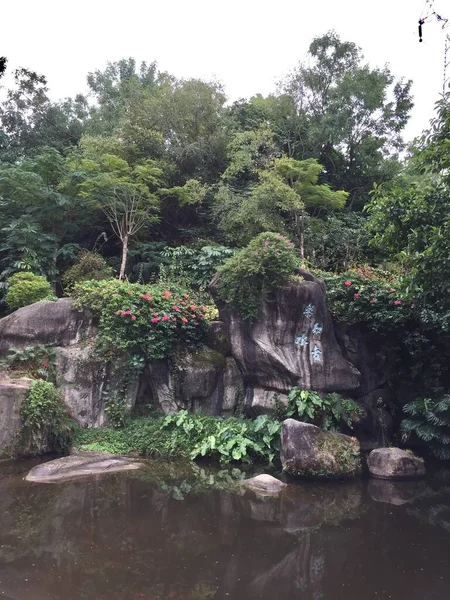 beautiful landscape with a waterfall