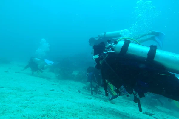 underwater scene with a scuba diver in the sea