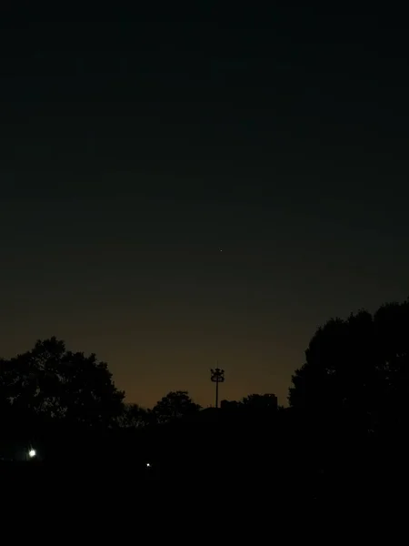 silhouette of a tree in the night sky