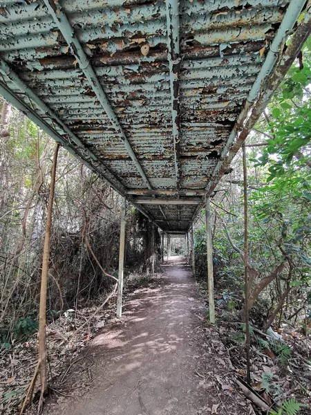 old abandoned railway bridge in the forest