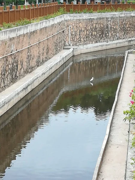 water irrigation system in the park