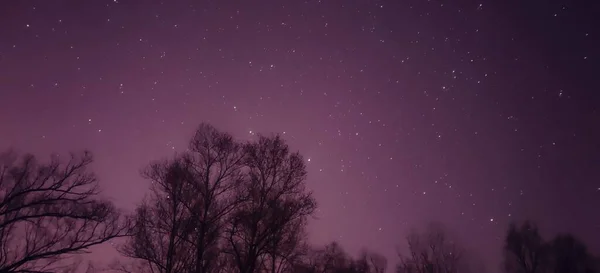 night sky with stars and snow