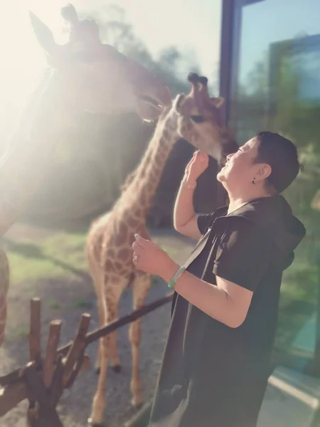 young couple in love with a horse