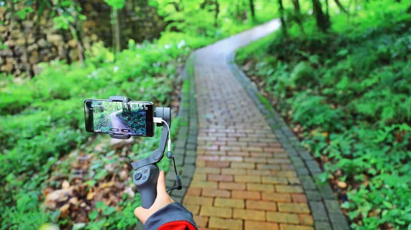 camera on the road in the forest