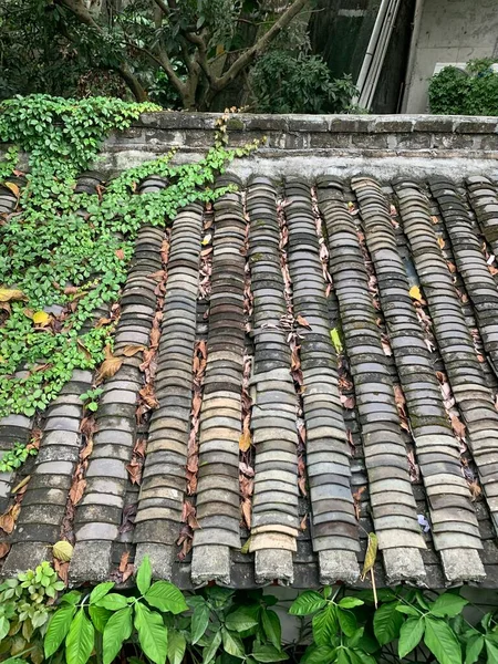 roof tiles in the garden