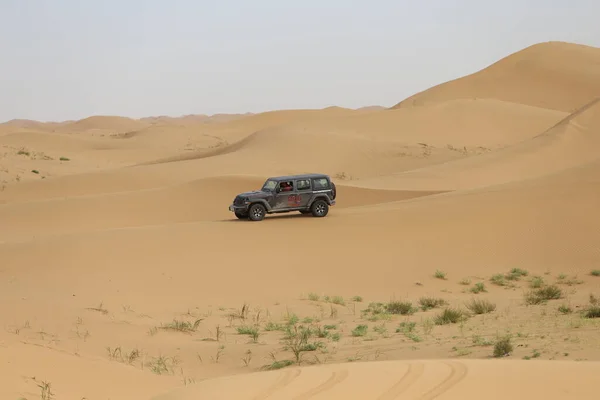 the beautiful landscape of the desert in the sahara, the namib of the united states