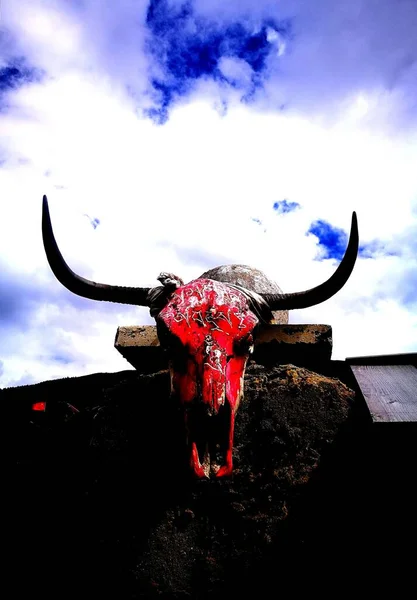 bull skull with horns and a red dragon