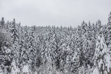 Kış Doğa dağ manzarası