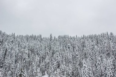 Kış Doğa dağ manzarası