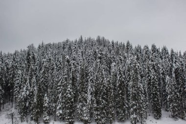 Kış Doğa manzara Dağ Manzaralı
