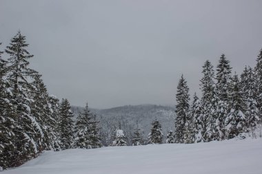 Kış Doğa manzara Dağ Manzaralı