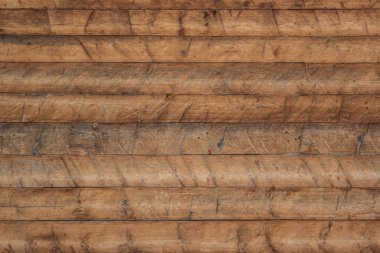 Vahşi kartal portre Kış Doğa manzara arka plan üzerinde kapatın