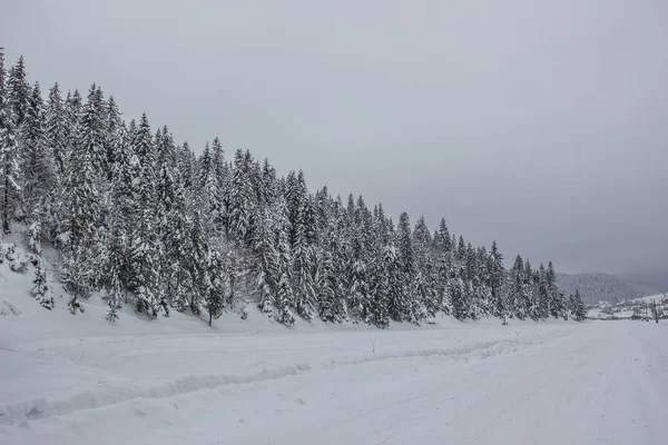 Χειμώνας Φύση Τοπίο Θέα Στο Βουνό — Φωτογραφία Αρχείου