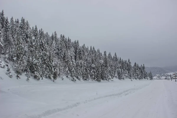 Vinter Natur Landskap Bergsutsikt — Stockfoto