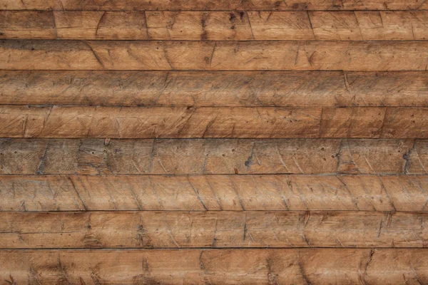 Vahşi kartal portre Kış Doğa manzara arka plan üzerinde kapatın