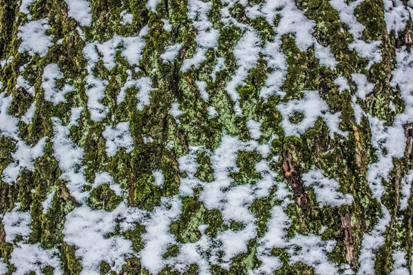 arka plan doku doğa