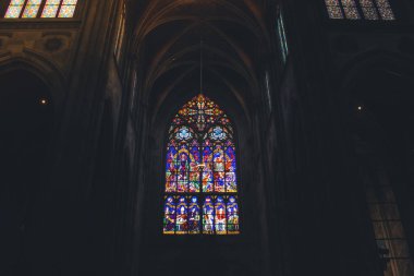 Viyana - Avusturya'nın başkenti kapalı Votivkirche Katedrali