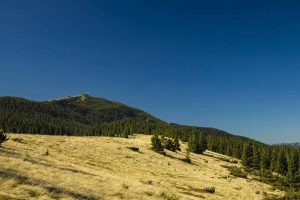 Bosque Montañoso Paisaje Paisaje Paisaje Vista Del Tiempo Claro Verano —  Fotos de Stock