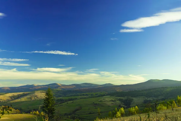 Highland Green Plantation Valley Mountain Ridge Background Panoramic Majestic Scenery — Stock Photo, Image