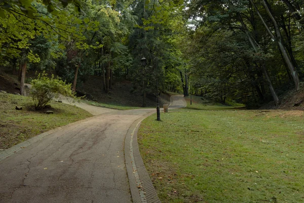 公園屋外風光明媚な環境湾曲した舗装歩道 — ストック写真