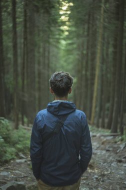 Yalnız adam bulanık odaklı simetri çam ormanı karamsar yeşil renklerle doğal arka plan, atmosferik sakin dikey resim meditasyonu teması 