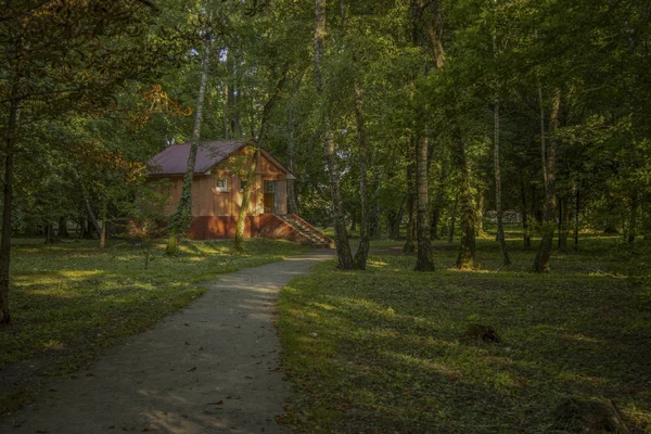 未舗装の歩道を持つ森林風光明媚な環境で素朴なコンクリートの家 — ストック写真