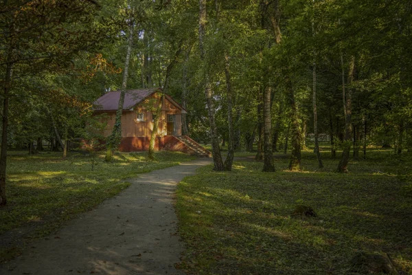 Rustikales Betonhaus Waldschöner Umgebung Mit Feldweg — Stockfoto