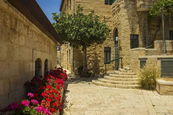 Jérusalem Vieille Ville Rue Ancien Jardin Quartier Vide Vue Urbaine — Photo