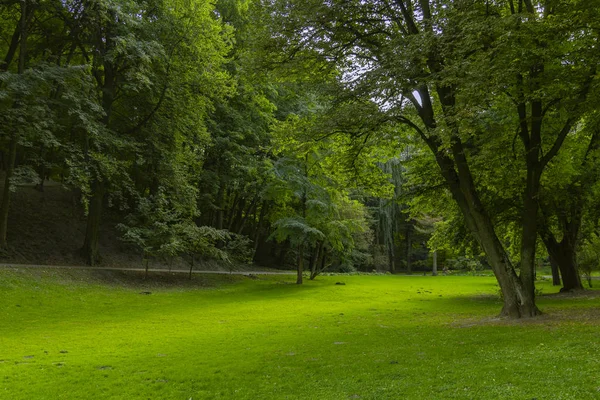 Park Venkovní Živé Zelené Listí Travnaté Louky Prostor Přirozený Pohled — Stock fotografie