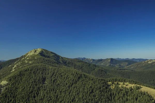 Antennenlandschaft Von Grünen Kiefernwald Einsam Berggipfel Panoramablick Mit Lebendigen Blauen — Stockfoto