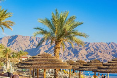 Akabe Körfezi Kızıldeniz sahili manzaralı manzara fotoğrafı. İsrail 'in en güney şehrinde yaz tatilinde Eilat, palmiye ağaçları ve mavi arka planda saman şemsiyeleri. 