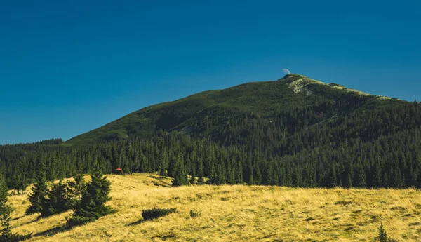 Montañas Allegheny Paisaje Montañoso Salvaje Paisaje Ambiente Verano Con Bosque —  Fotos de Stock