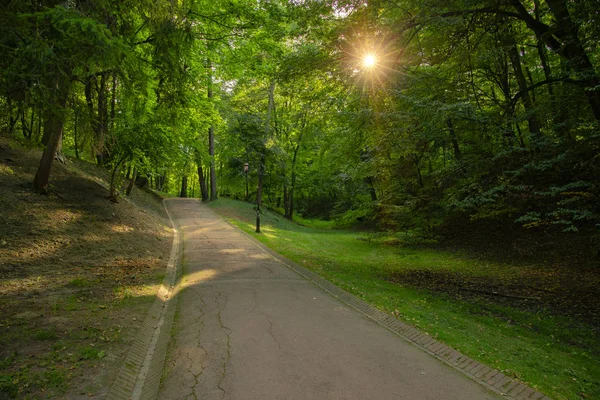 Morgen Sonnenaufgang Frühling Zeit Park Freien Malerische Aussicht Mit Orangefarbenem — Stockfoto