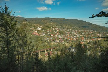 Ukrayna 'nın Karpat Dağları' ndaki Avrupa dağ köyünün en üst düzey manzarası ladin ormanı iğne ağacı bahar zamanı açık havada doğal çerçeve dalları oluşturur. 