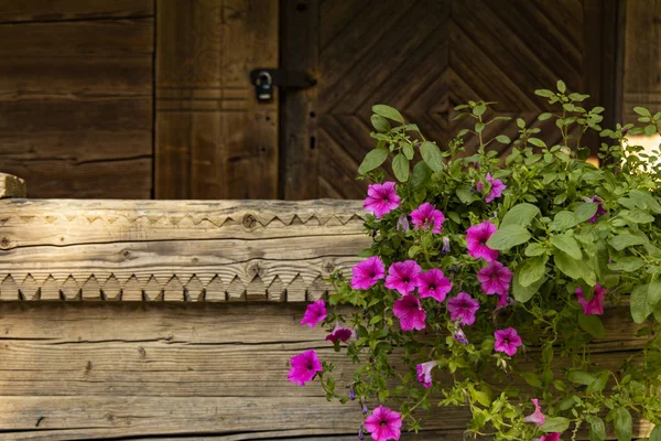 Rustico Casa Rurale Legno Esterno Giardino Cortile Portico Cornice Rosa — Foto Stock