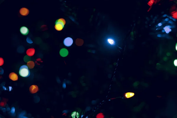 Foco Suave Árbol Navidad Decoración Guirnalda Lámpara Azul Iluminación Rayos — Foto de Stock