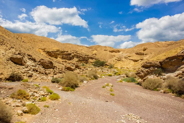 Rosso Canyon Ingresso Piccole Colline Rocciose Pietra Nel Deserto Paesaggio — Foto Stock