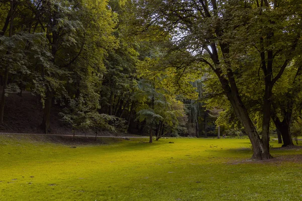 Park Venkovní Scenérie Krajina Hnědá Zelená Přírodní Prostředí Tráva Louka — Stock fotografie