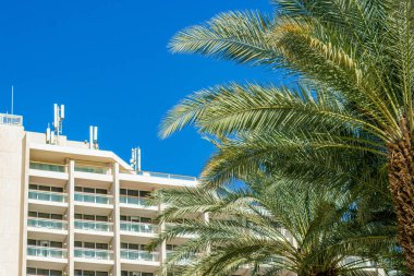 Otel daireleri, palmiye ağaçları, tropik güney manzarası yaz günü manzarası, kopyalama alanı. 