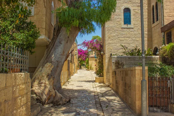 Kutsal topraklar Kudüs İsrail eski şehir sokak manzarası bahar zamanı renkli bahçeler çiçekler ve yaşam bölgesinde taş binalar olan bitkiler 