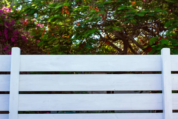 Projeto Paisagem Simetria Padrão Cerca Branca Deck Madeira Primeiro Plano — Fotografia de Stock