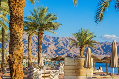 Plaj zamanı tropik güney manzaralı palmiye ağaçları saman şemsiyeleri ve kilitli salonlar 