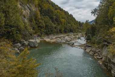 Karpatya dağları kayalar arasındaki kanyondaki dağlık nehir akıntısı 