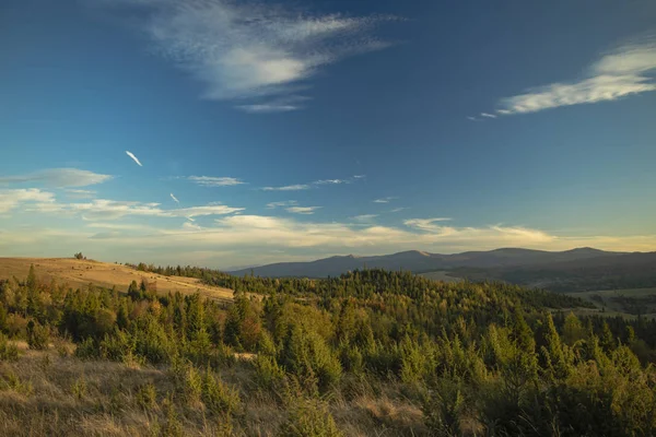 Horizon Panorama Mountain Highland Forest Landscape Top View Autumn Season — Stock Photo, Image