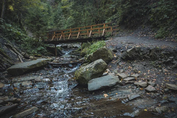 Foresta Montagna Paesaggio Roccioso Lunatico Paesaggio Umido Ambiente Fresco Con — Foto Stock