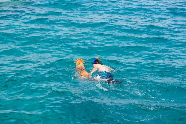 Europeo Ragazzo Bianco Nuotare Insieme Con Suo Labrador Dio Compagno — Foto Stock